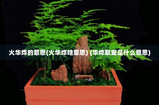 火华烨的意思(火华烨啥意思) (华烨取宠是什么意思)