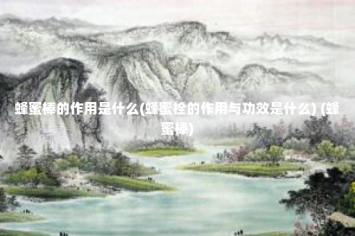 蜂蜜棒的作用是什么(蜂蜜栓的作用与功效是什么) (蜂蜜棒)