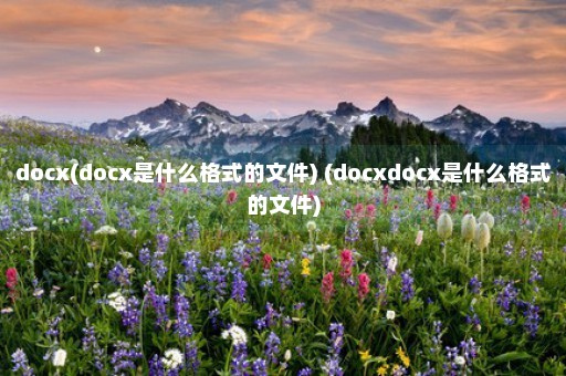 docx(docx是什么格式的文件) (docxdocx是什么格式的文件)