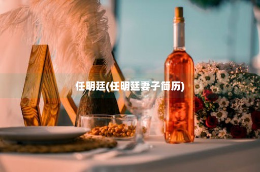 任明廷(任明廷妻子简历)