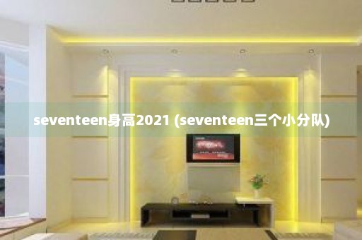 seventeen身高2021 (seventeen三个小分队)