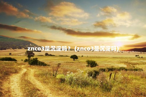 znco3是沉淀吗？ (znco3是沉淀吗)