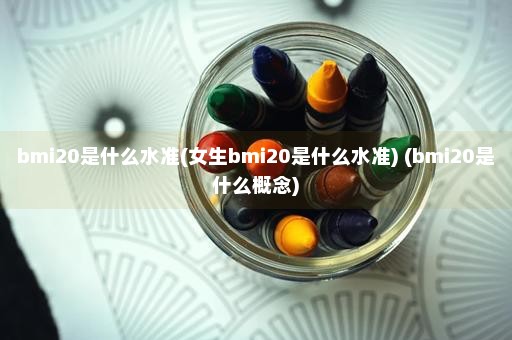 bmi20是什么水准(女生bmi20是什么水准) (bmi20是什么概念)