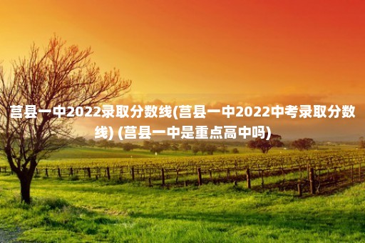 莒县一中2022录取分数线(莒县一中2022中考录取分数线) (莒县一中是重点高中吗)