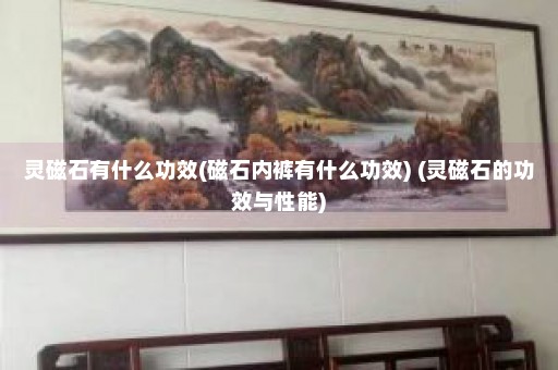 灵磁石有什么功效(磁石内裤有什么功效) (灵磁石的功效与性能)