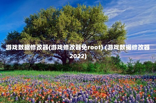 游戏数据修改器(游戏修改器免root) (游戏数据修改器2022)