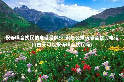 投诉噪音扰民的电话是多少呀(怎么投诉噪音扰民电话) (白天可以投诉噪音扰民吗)