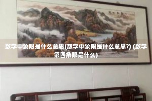 数学中象限是什么意思(数学中象限是什么意思?) (数学第四象限是什么)