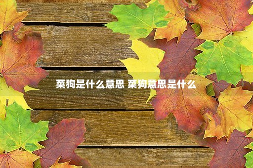 菜狗是什么意思 菜狗意思是什么