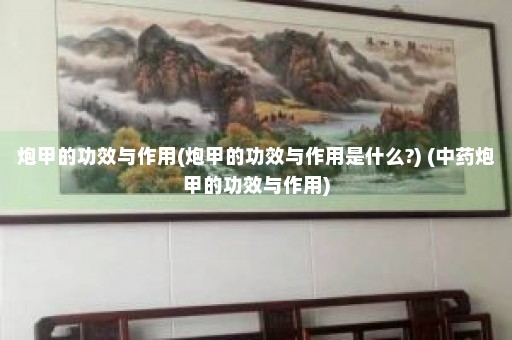 炮甲的功效与作用(炮甲的功效与作用是什么?) (中药炮甲的功效与作用)