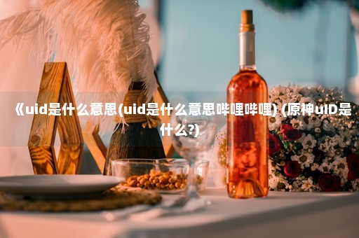 《uid是什么意思(uid是什么意思哔哩哔哩) (原神uID是什么?)