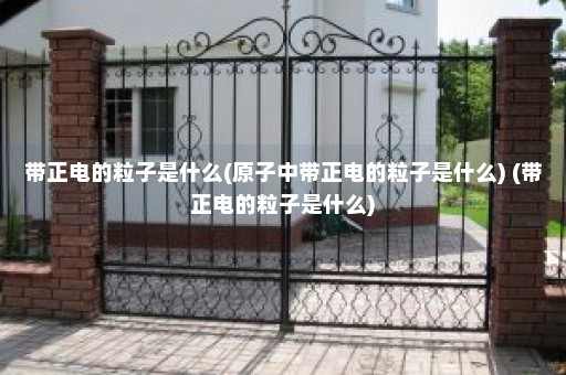 带正电的粒子是什么(原子中带正电的粒子是什么) (带正电的粒子是什么)