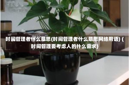 时间管理者什么意思(时间管理者什么意思网络用语) (时间管理要考虑人的什么需求)