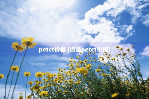 petct价格 (增强petct价格)