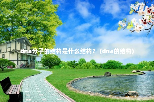 dna分子的结构是什么结构？ (dna的结构)