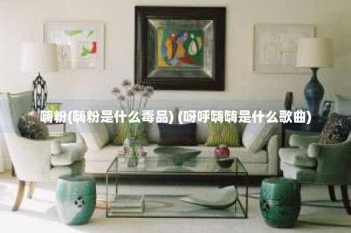 嗨粉(嗨粉是什么毒品) (呀呼嗨嗨是什么歌曲)