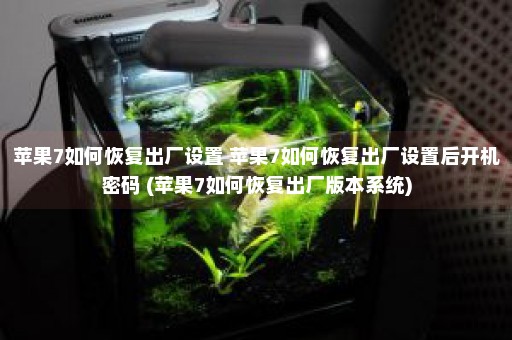 苹果7如何恢复出厂设置 苹果7如何恢复出厂设置后开机密码 (苹果7如何恢复出厂版本系统)