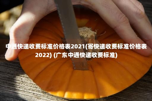 中通快递收费标准价格表2021(寄快递收费标准价格表2022) (广东中通快递收费标准)