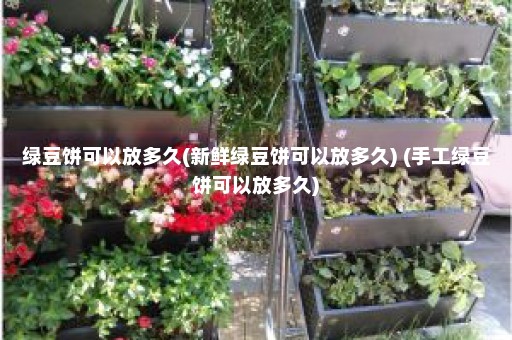 绿豆饼可以放多久(新鲜绿豆饼可以放多久) (手工绿豆饼可以放多久)