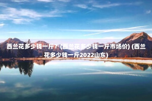 西兰花多少钱一斤？(西兰花多少钱一斤市场价) (西兰花多少钱一斤2022山东)