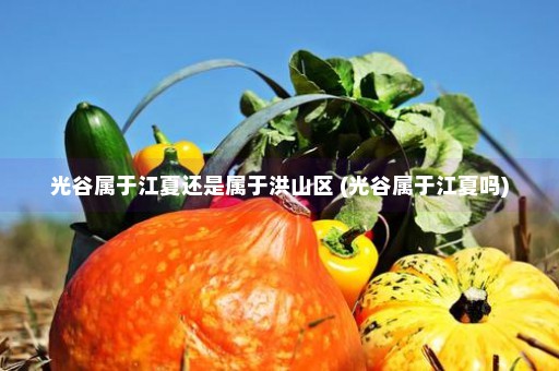 光谷属于江夏还是属于洪山区 (光谷属于江夏吗)