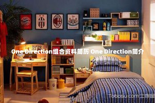 One Direction组合资料简历 One Direction简介