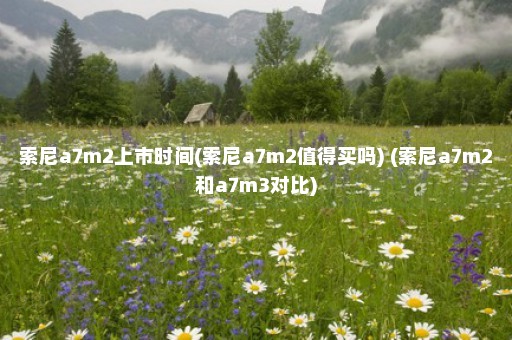 索尼a7m2上市时间(索尼a7m2值得买吗) (索尼a7m2和a7m3对比)