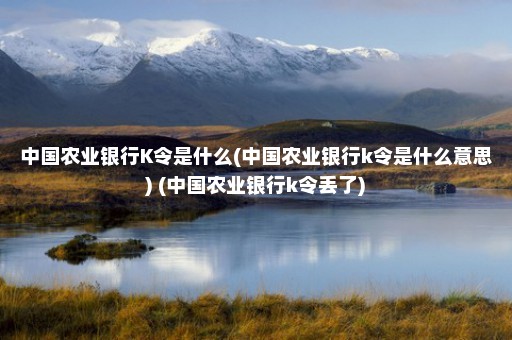 中国农业银行K令是什么(中国农业银行k令是什么意思) (中国农业银行k令丢了)