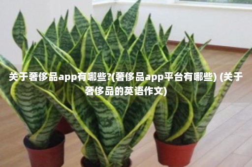 关于奢侈品app有哪些?(奢侈品app平台有哪些) (关于奢侈品的英语作文)