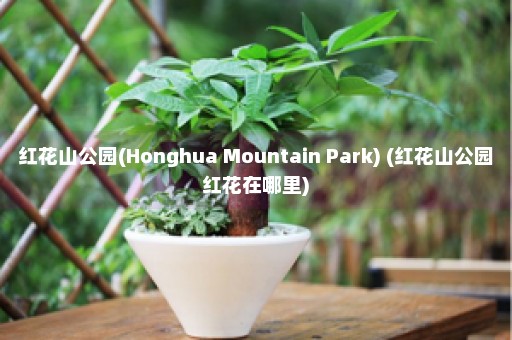 红花山公园(Honghua Mountain Park) (红花山公园红花在哪里)