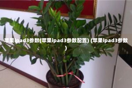 苹果ipad3参数(苹果ipad3参数配置) (苹果ipad3参数)