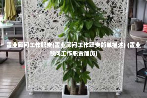 置业顾问工作职责(置业顾问工作职责简单描述) (置业顾问工作职责简历)