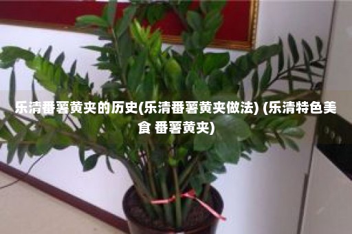 乐清番薯黄夹的历史(乐清番薯黄夹做法) (乐清特色美食 番薯黄夹)