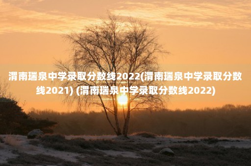 渭南瑞泉中学录取分数线2022(渭南瑞泉中学录取分数线2021) (渭南瑞泉中学录取分数线2022)