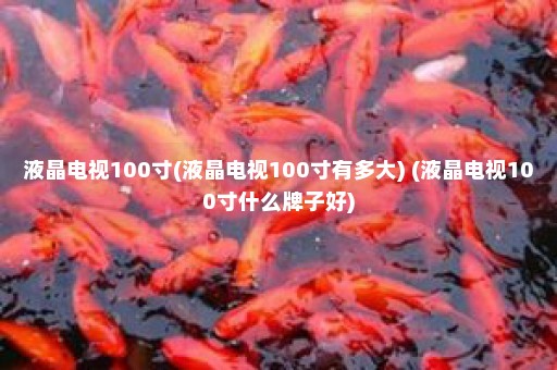 液晶电视100寸(液晶电视100寸有多大) (液晶电视100寸什么牌子好)