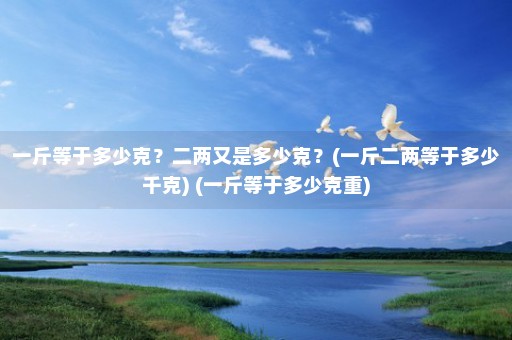 一斤等于多少克？二两又是多少克？(一斤二两等于多少千克) (一斤等于多少克重)