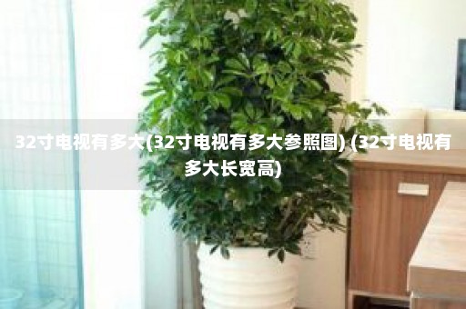 32寸电视有多大(32寸电视有多大参照图) (32寸电视有多大长宽高)