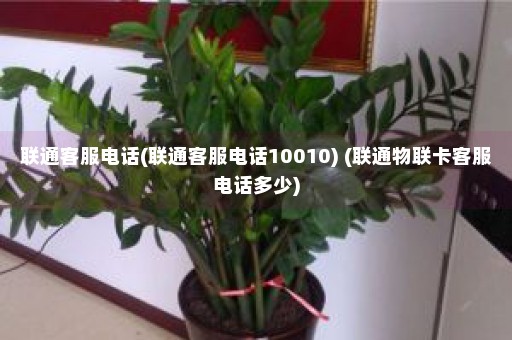 联通客服电话(联通客服电话10010) (联通物联卡客服电话多少)