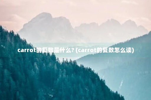 carrot的复数是什么? (carrot的复数怎么读)