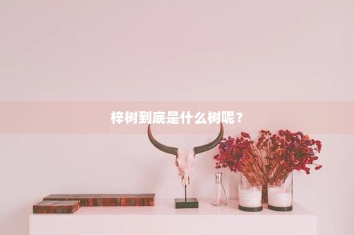 梓树到底是什么树呢？