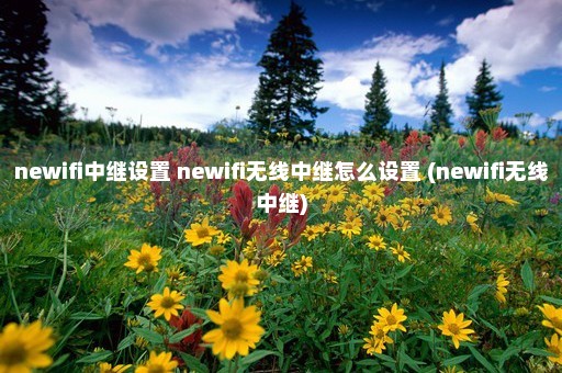 newifi中继设置 newifi无线中继怎么设置 (newifi无线中继)