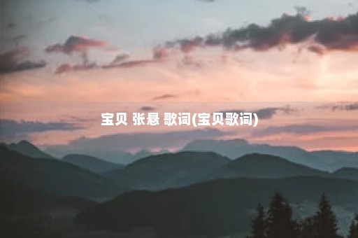 宝贝 张悬 歌词(宝贝歌词)