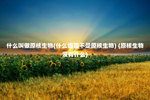 什么叫做原核生物(什么细菌不是原核生物) (原核生物没有什么)