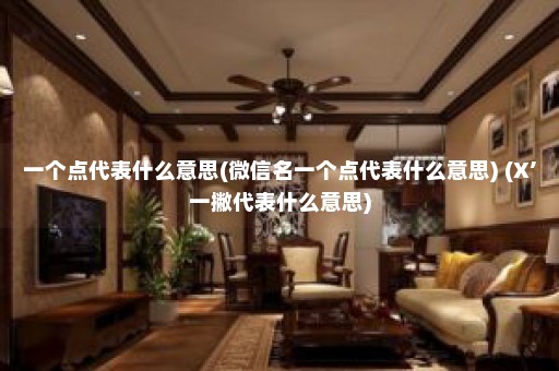 一个点代表什么意思(微信名一个点代表什么意思) (X’一撇代表什么意思)