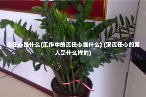 责任心是什么(工作中的责任心是什么) (没责任心的男人是什么样的)