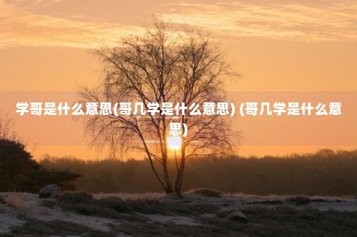 学哥是什么意思(哥几学是什么意思) (哥几学是什么意思)