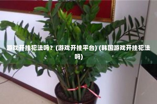 游戏开挂犯法吗？(游戏开挂平台) (韩国游戏开挂犯法吗)