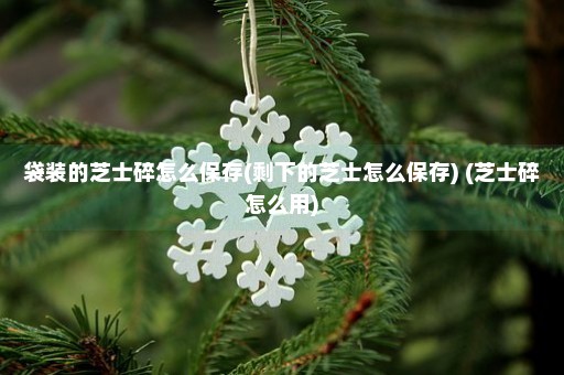 袋装的芝士碎怎么保存(剩下的芝士怎么保存) (芝士碎怎么用)