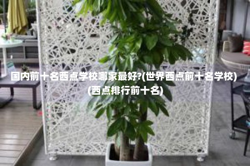 国内前十名西点学校哪家最好?(世界西点前十名学校) (西点排行前十名)