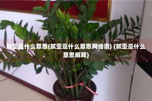 腻歪是什么意思(腻歪是什么意思网络语) (腻歪是什么意思解释)